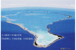 【勿体無い。大切な資源、大切な地球】小玉紫泉つづれ織の世界