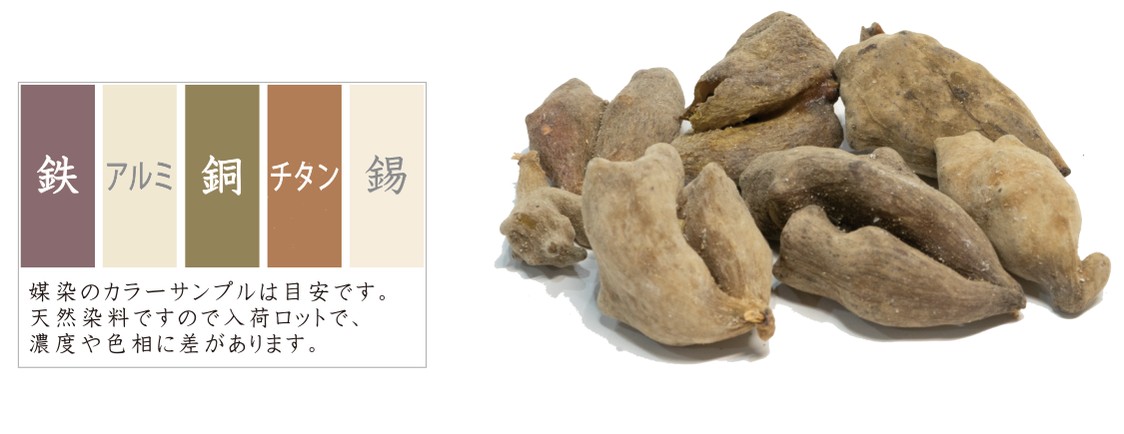 五倍子